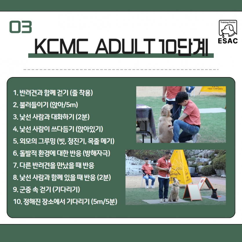 d7573f97ecc64abf348d65baee9ac9e8_1716344504_52.png
